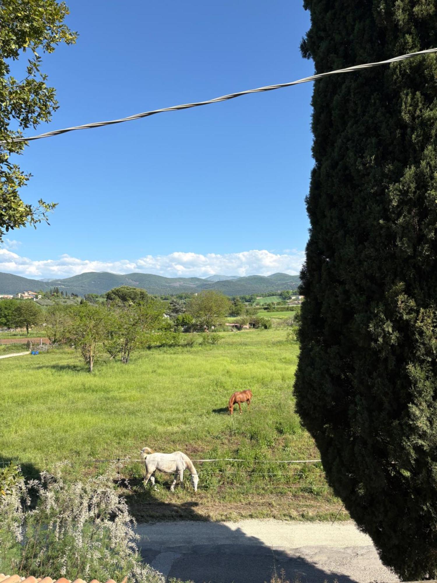 Chateaux De Pep Spoleto Esterno foto